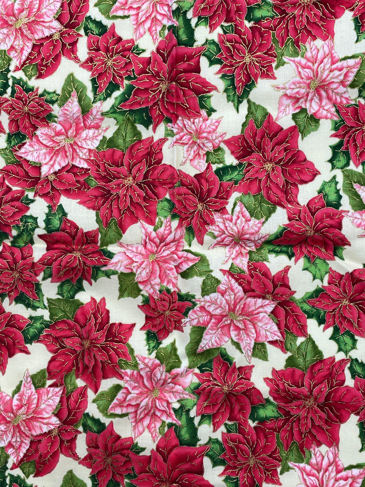 2 YD Quilting Cotton - Cream with Red and Pink Poinsettias with Gold Accents