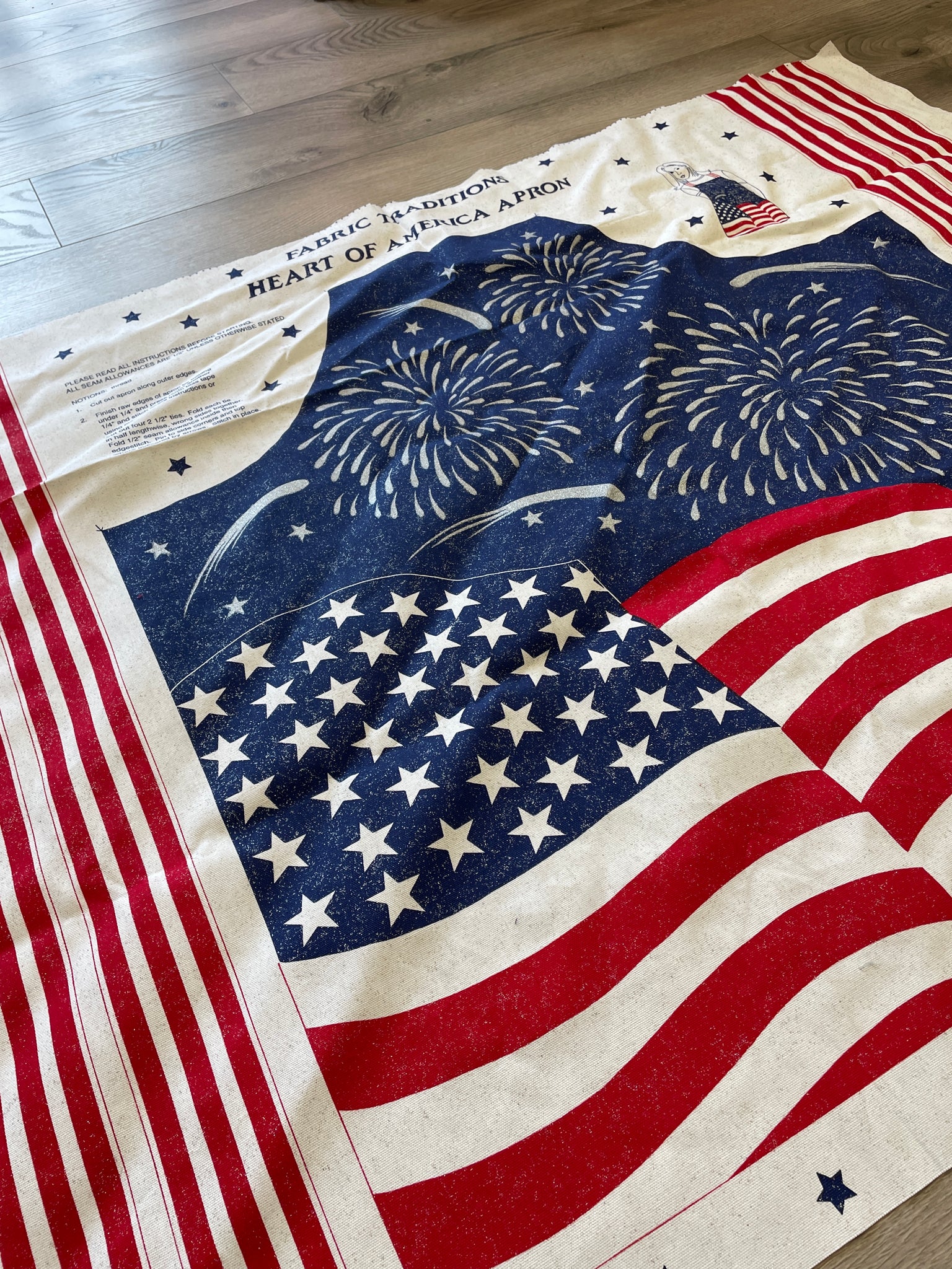 1999 1 YD Cotton Duck Panel - Fourth of July with Silver