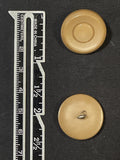 Buttons Plastic Set of 2 Vintage - Beige