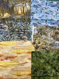 Quilting Cotton Fat Quarter Bundle of 6 - Coordinating Camping and Outdoors Prints