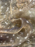 Nylon Organza - Iridescent Bronze with Silver Metallic Stars