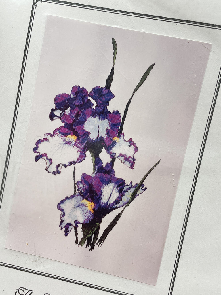 1999 Cross Stitch Pattern - Bearded Irises "Modern Classic"