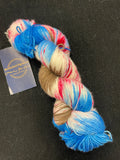 Superwash Merino Wool/Nylon Yarn - "O-Fool"