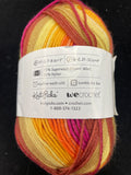 Superwash Merino Wool/Nylon Yarn - "Double Dog Dare" or "Solstice"