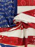 2/3 YD Cotton Panel - Pledge of Allegiance