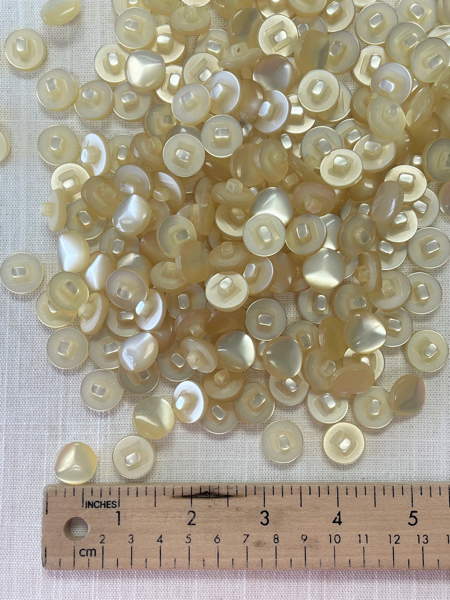 SALE Buttons Plastic Shank Set of 12 or 144 - Ivory Pearlescent