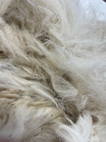 Camel Hair Fibers -  1/2  or 1 POUND