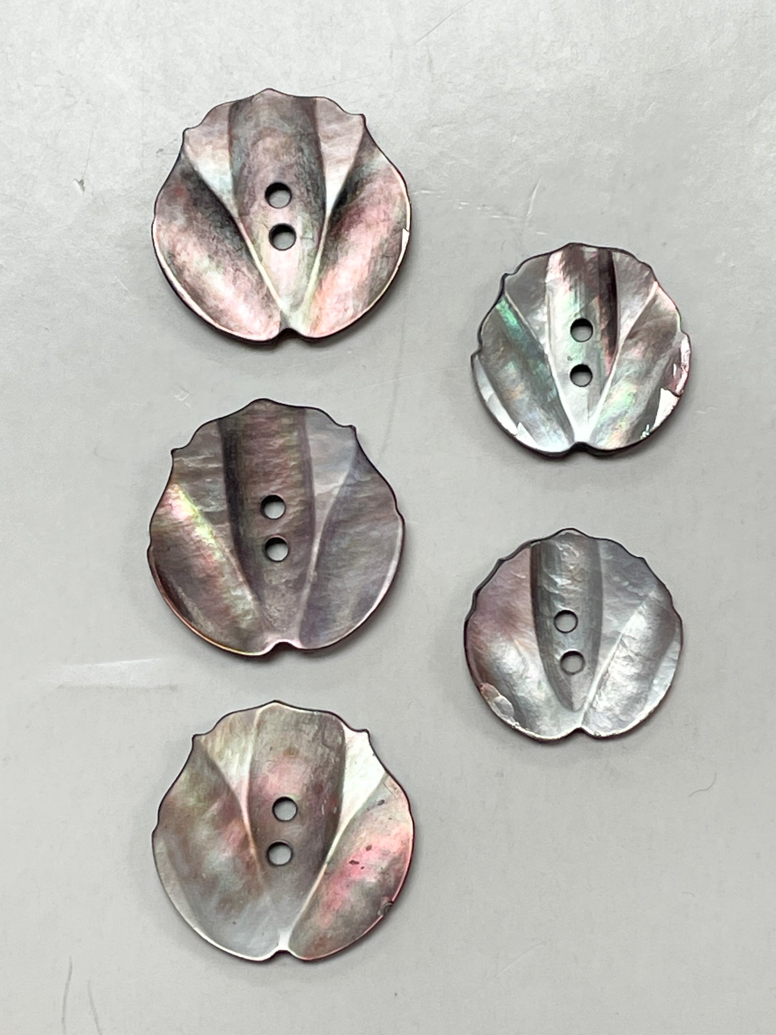 Buttons Abalone Set of 5 - Carved Flowers