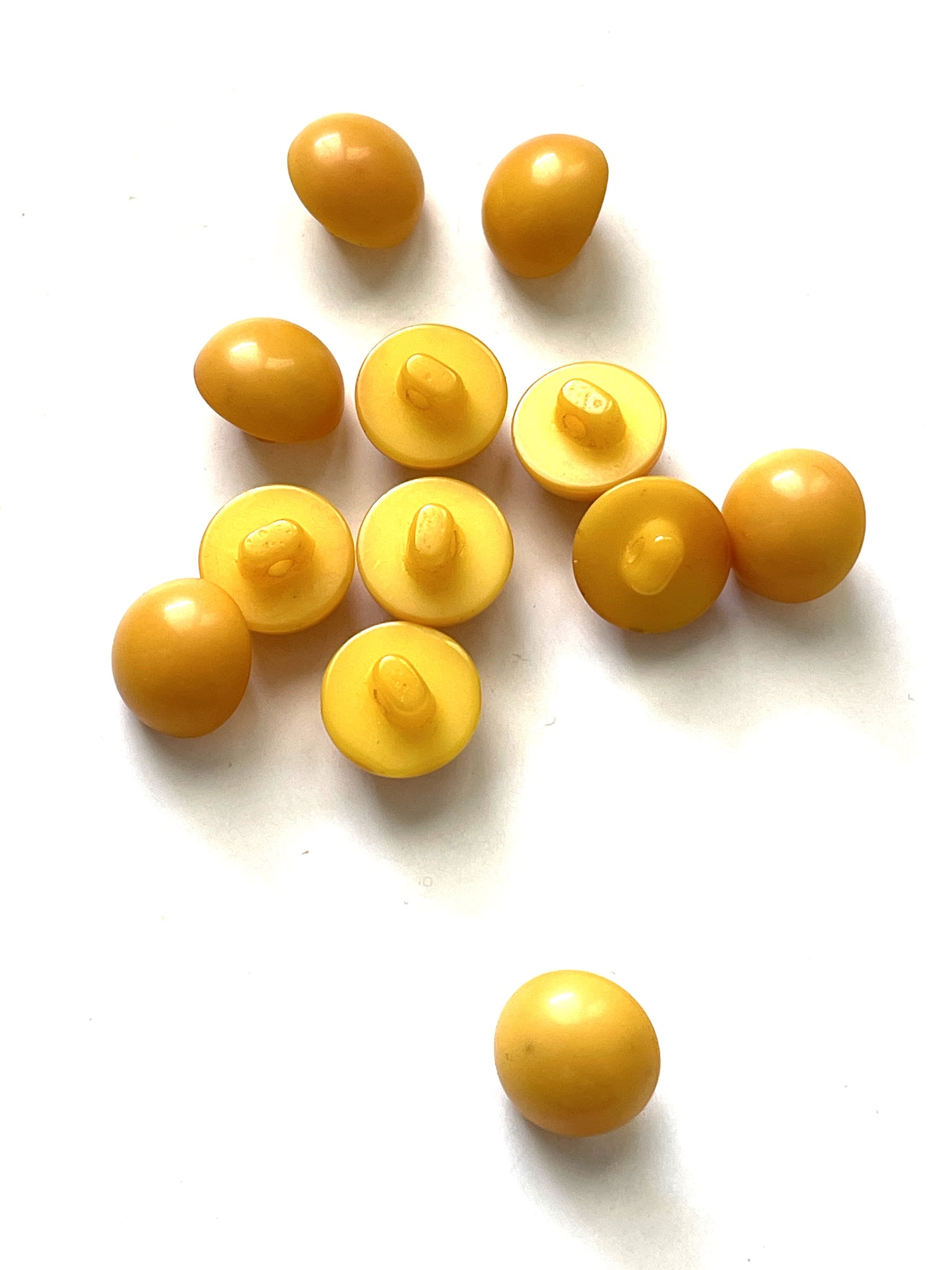 Buttons Shank Plastic Set of 6 - Muted Yellow Domes