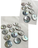 Button Shell Set of 8 or 12 - Pearlescent Abalone